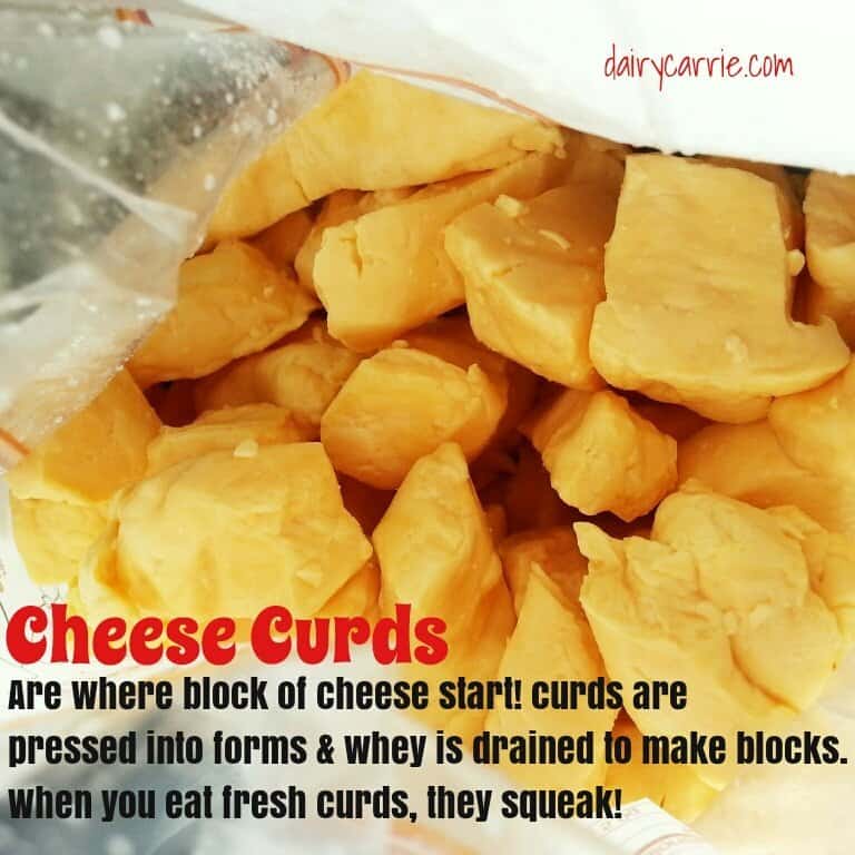 What are cheese curds?