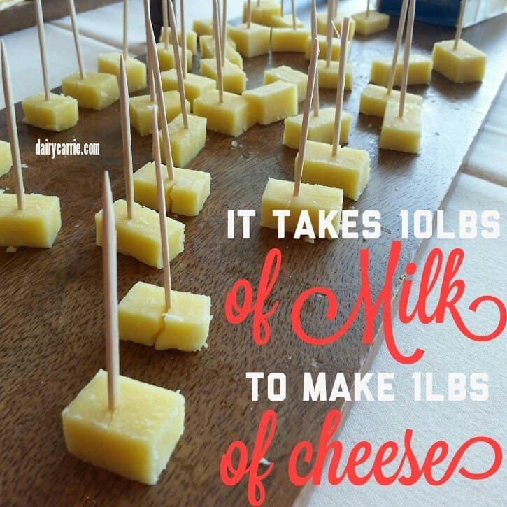 How much milk does it take to make cheese?