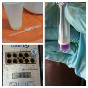 This is the test we run on our farm for antibiotics. Milk is sampled and tested again by our milk company.